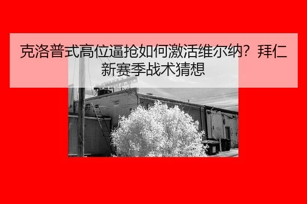 ke-luo-pu-shi-gao-wei-bi-qiang-ru-he-ji-huo-wei-er-na-bai-ren-xin-sai-ji-zhan-shu-cai-xiang-2-367.jpg